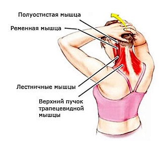 Самомассаж шеи помогает расслабить мышцы и восстановить их тонус
