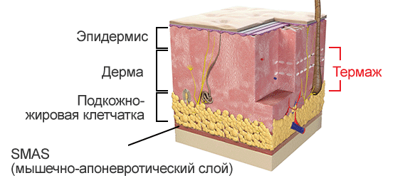 Уровень SMAS